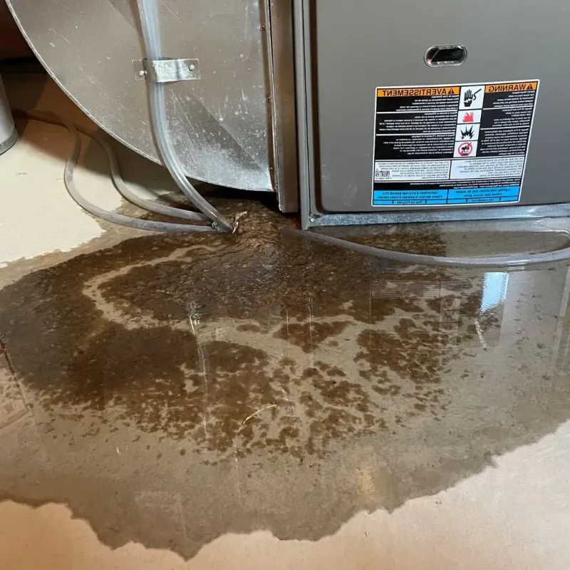 Pipe Burst and Leak Restoration in Church Hill, PA