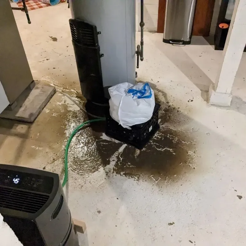 Sewage Backup Cleanup Service in Church Hill, PA